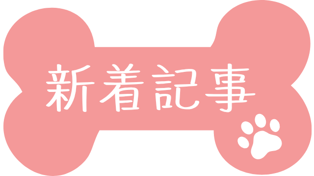 新着記事
